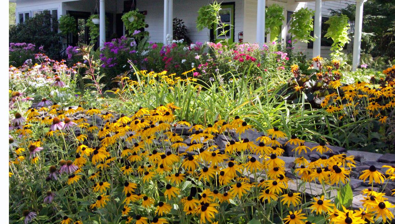 The Roxbury - thumb 29