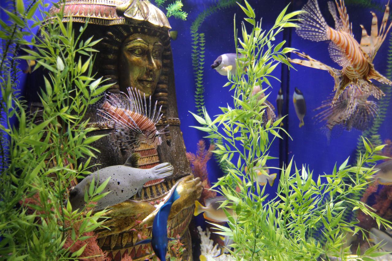 The Roxbury - thumb 13