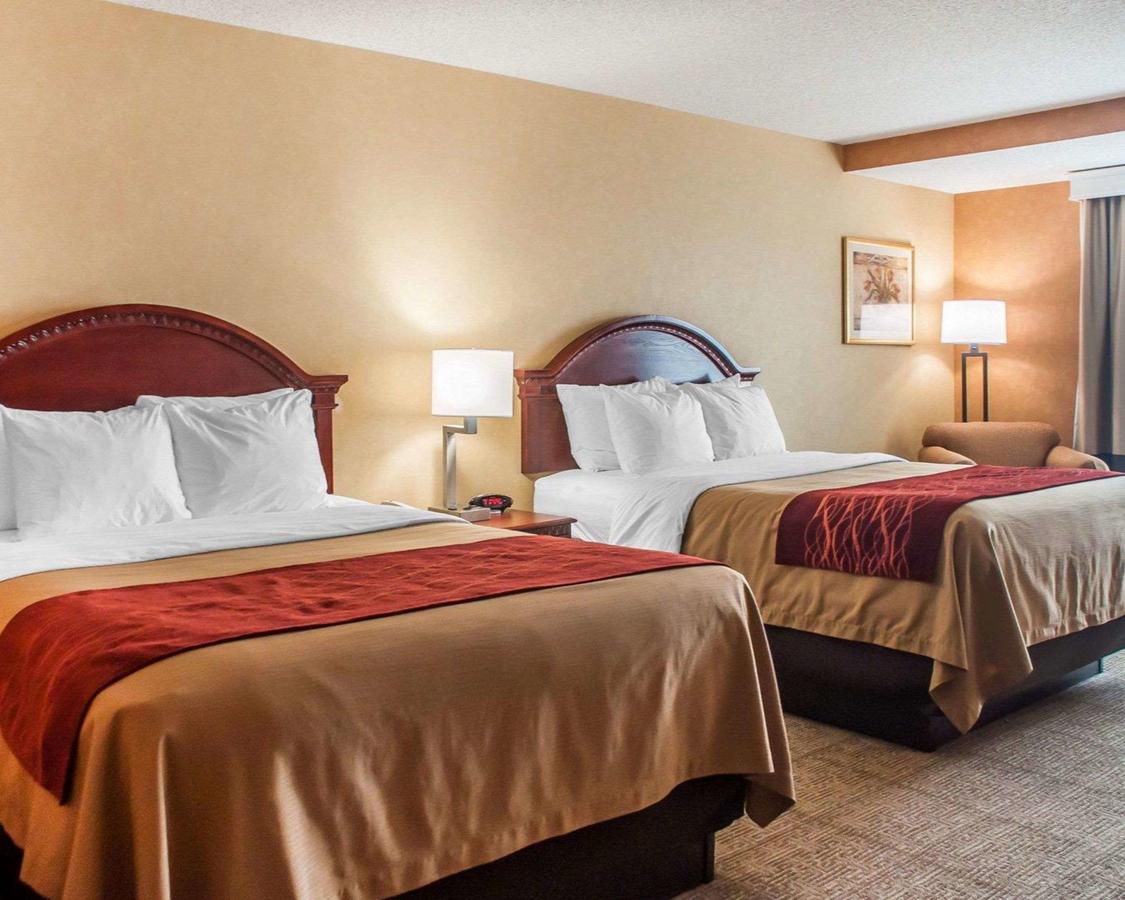 Comfort Inn Near Walden Galleria Mall- Cheektowaga - thumb 18