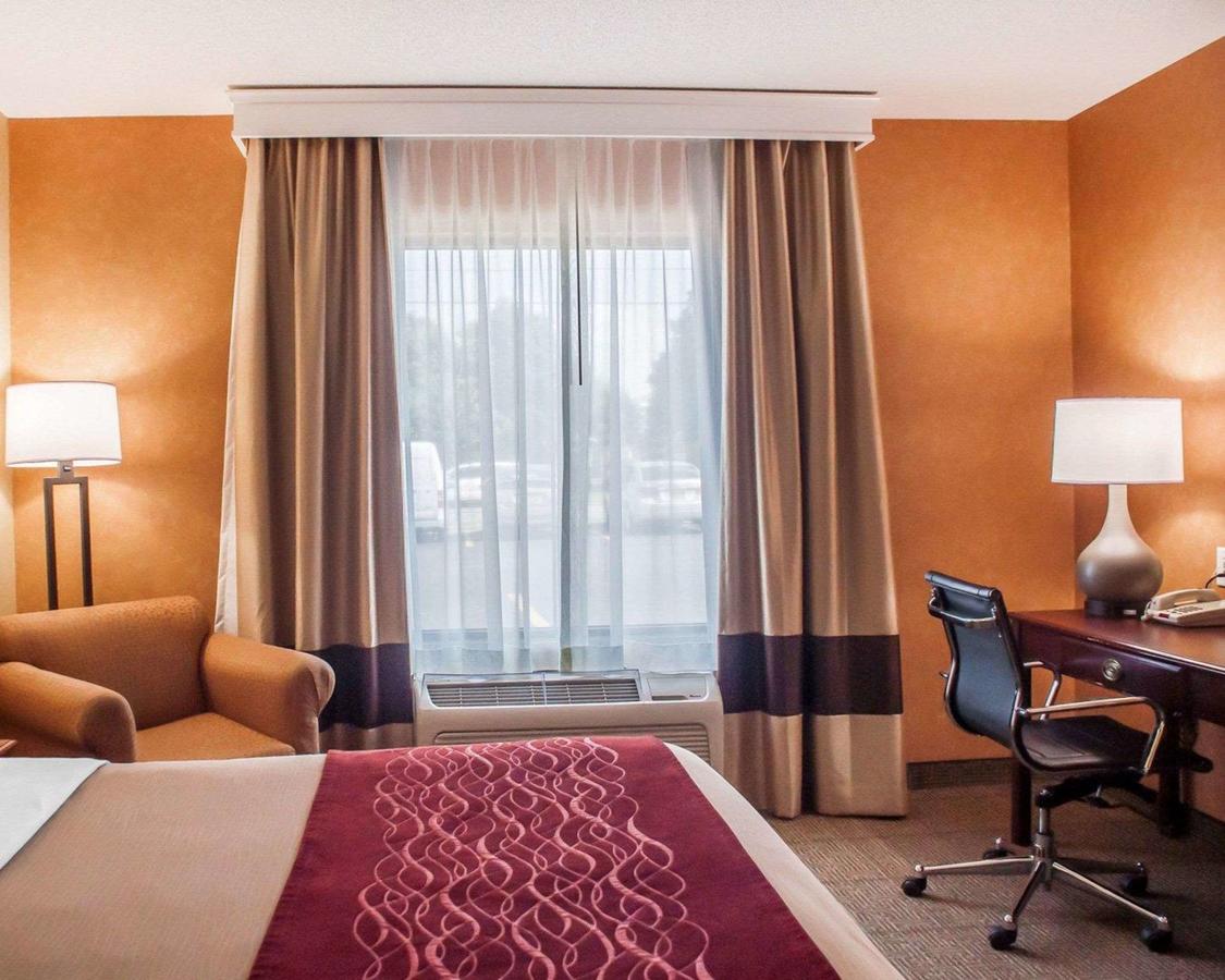 Comfort Inn Near Walden Galleria Mall- Cheektowaga - thumb 1