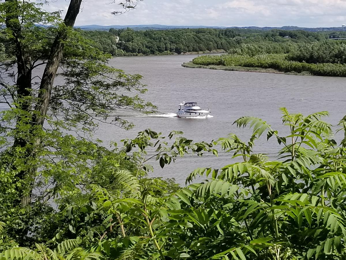 Oakcliff Bed And Breakfast - thumb 11