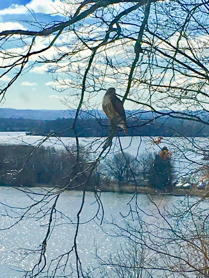 Oakcliff Bed And Breakfast - thumb 40