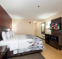 Red Roof Inn Raleigh Southwest - Cary - Accommodation Rooms