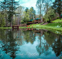 Asheville Cabins of Willow Winds - Accommodation Rooms