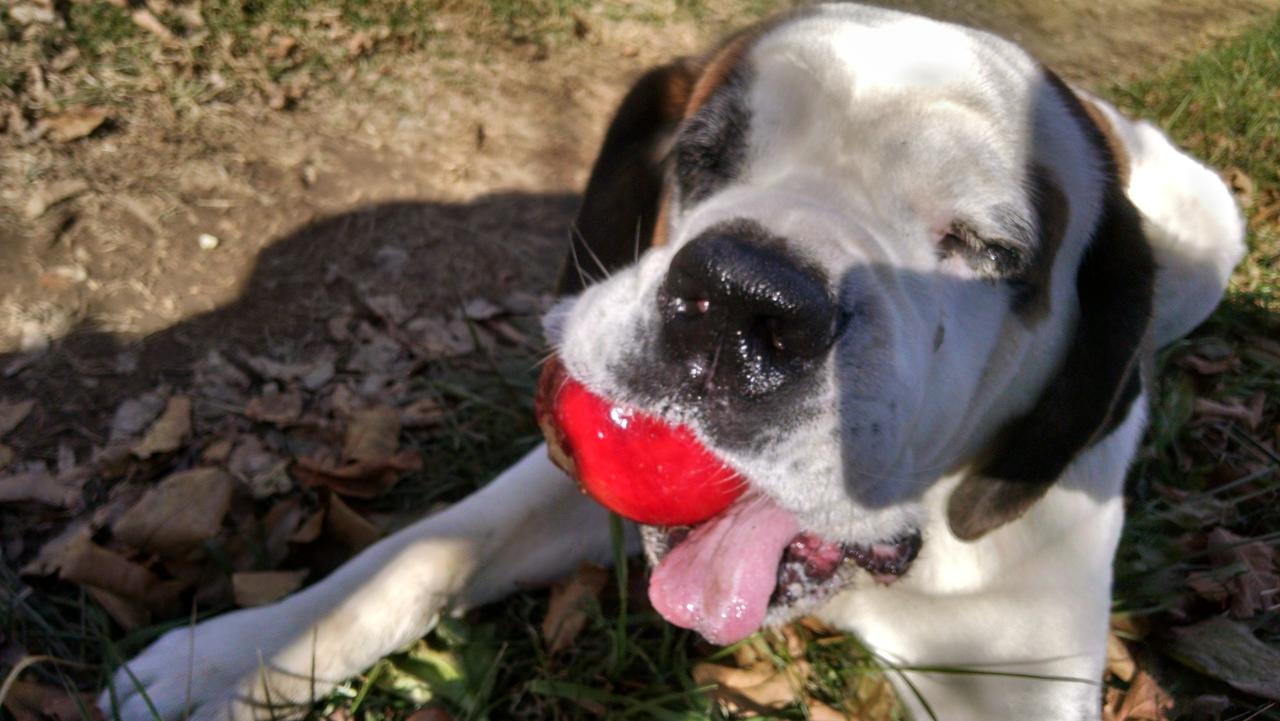 Skyline Village Inn - thumb 19