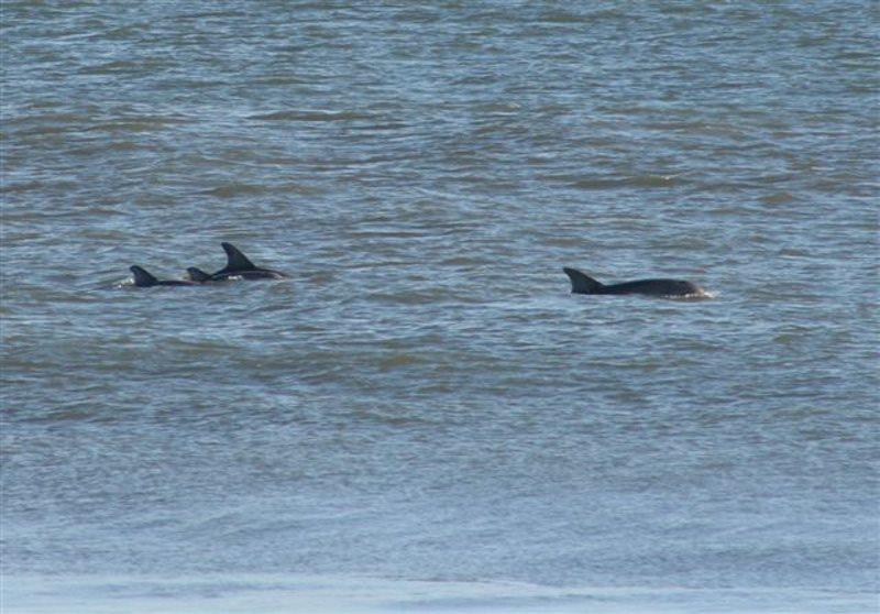 4000 - Fragile Magic - thumb 28