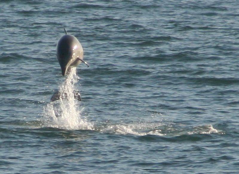 4000 - Fragile Magic - thumb 18