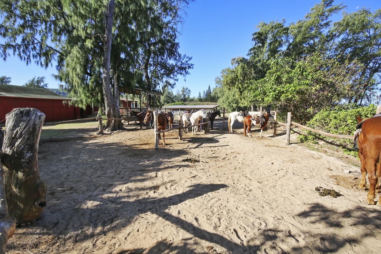 077 West Condo - thumb 14