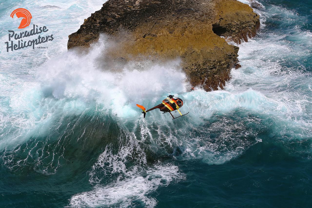 Turtle Bay Villa - thumb 40
