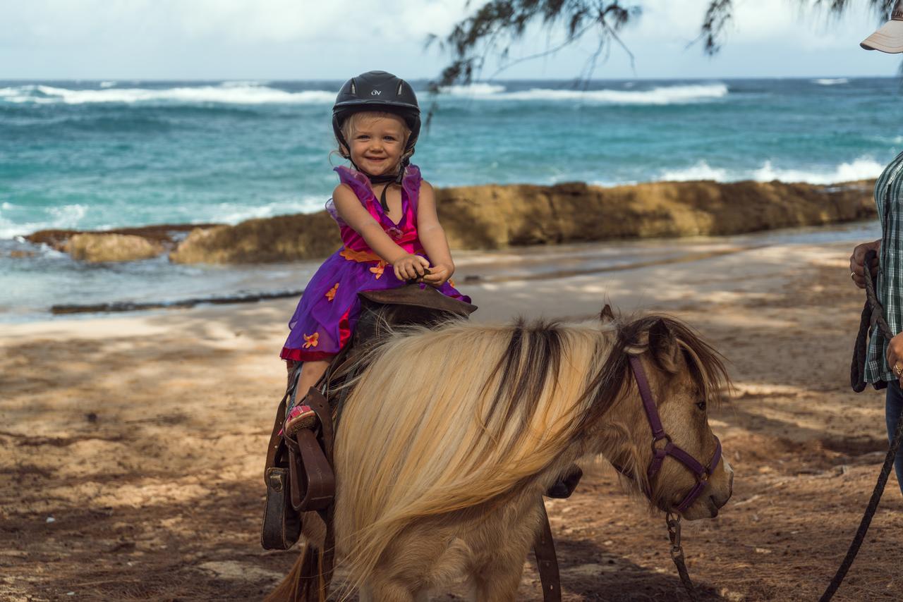 Turtle Bay Villa - thumb 39