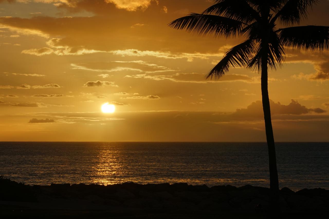 Turtle Bay Villa - thumb 38