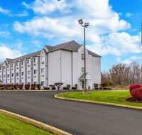 Quality Inn  Suites North Lima - Boardman - Accommodation Rooms