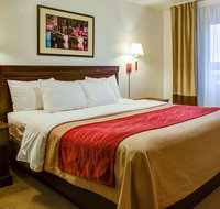 Quality Inn Florence - Accommodation Rooms