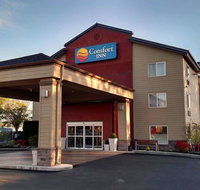 Comfort Inn Columbia Gorge Gateway - Accommodation Rooms