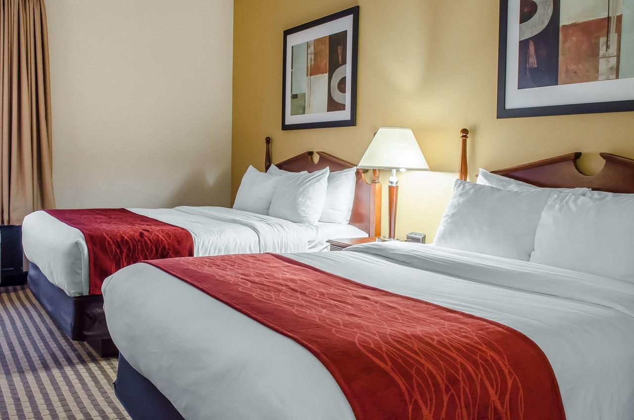 Comfort Suites Near Penn State - thumb 3