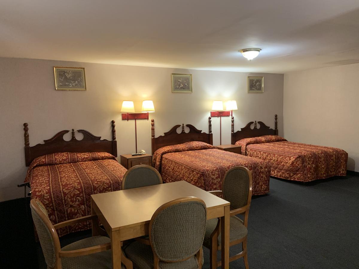 Dutch Motel Palmyra - thumb 43