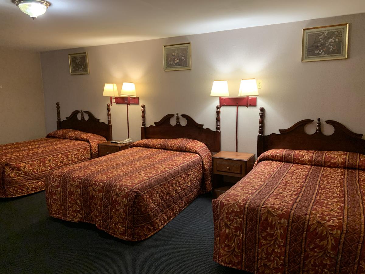Dutch Motel Palmyra - thumb 42
