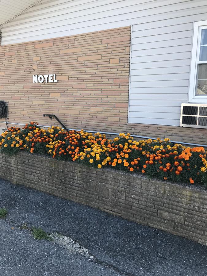 Dutch Motel Palmyra - thumb 44
