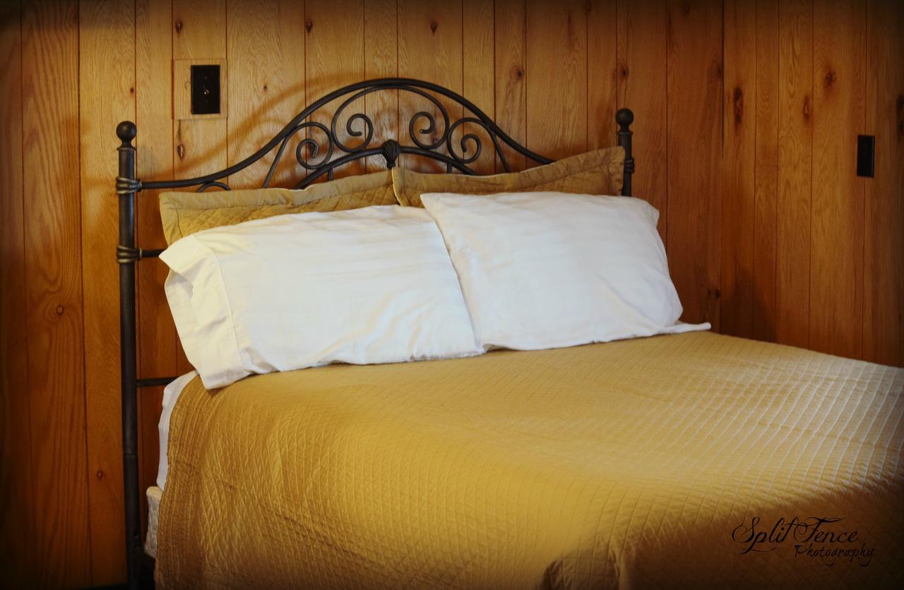 Beagle's Bed & Breakfast - thumb 23