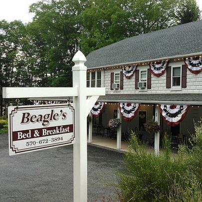 Beagle's Bed & Breakfast - thumb 11