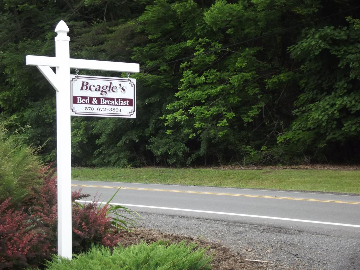 Beagle's Bed & Breakfast - thumb 36