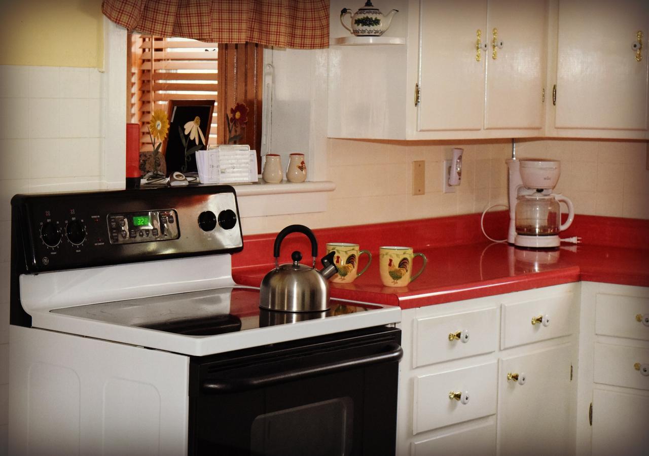 Beagle's Bed & Breakfast - thumb 18