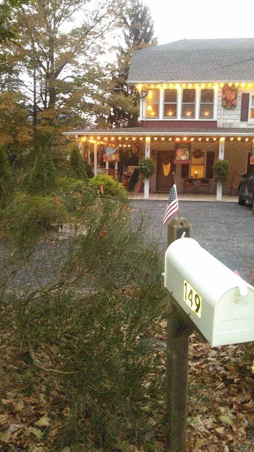 Beagle's Bed & Breakfast - thumb 13