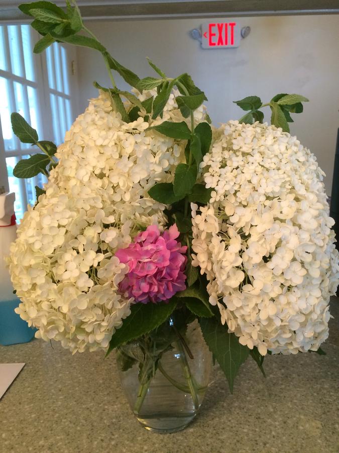 William's Grant Inn Bed And Breakfast - thumb 39