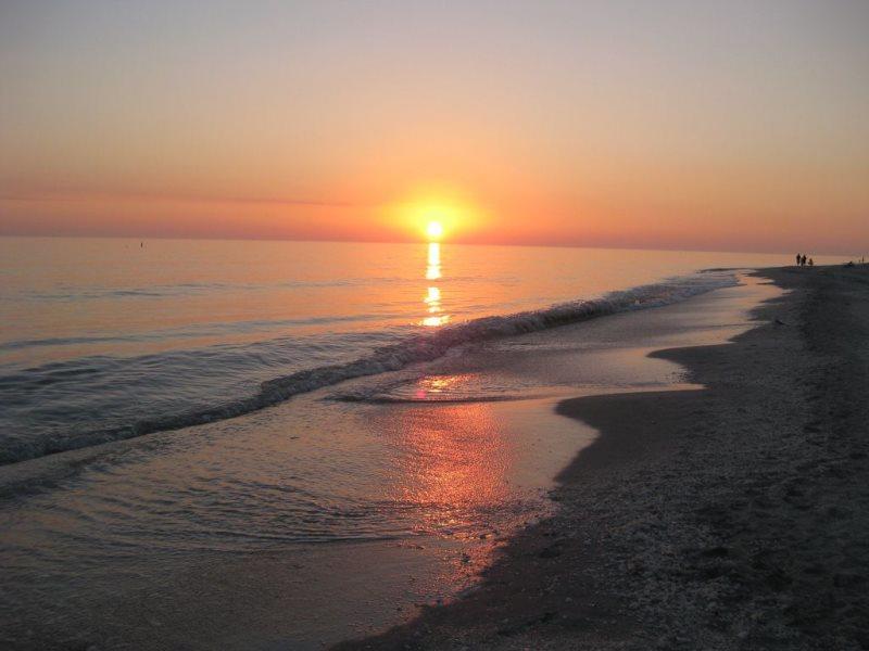 Sanibel Arms E6 - thumb 1