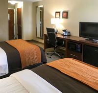 Comfort Inn Clemson - University Area - Accommodation Rooms