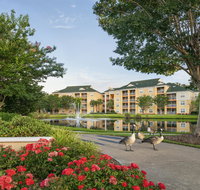Sheraton Broadway Plantation Resort Villas - Accommodation Rooms