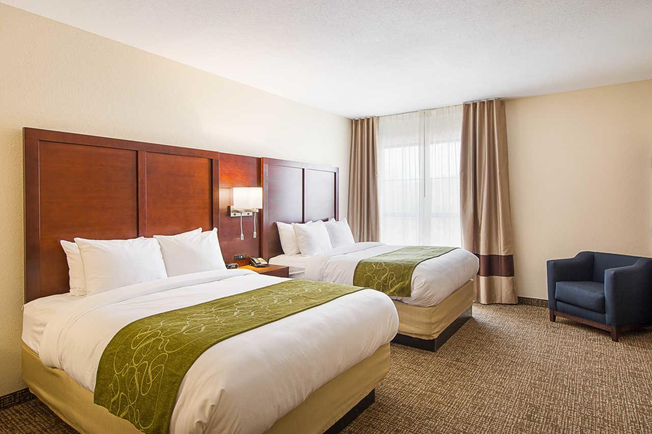 Comfort Suites Greenville South - thumb 3