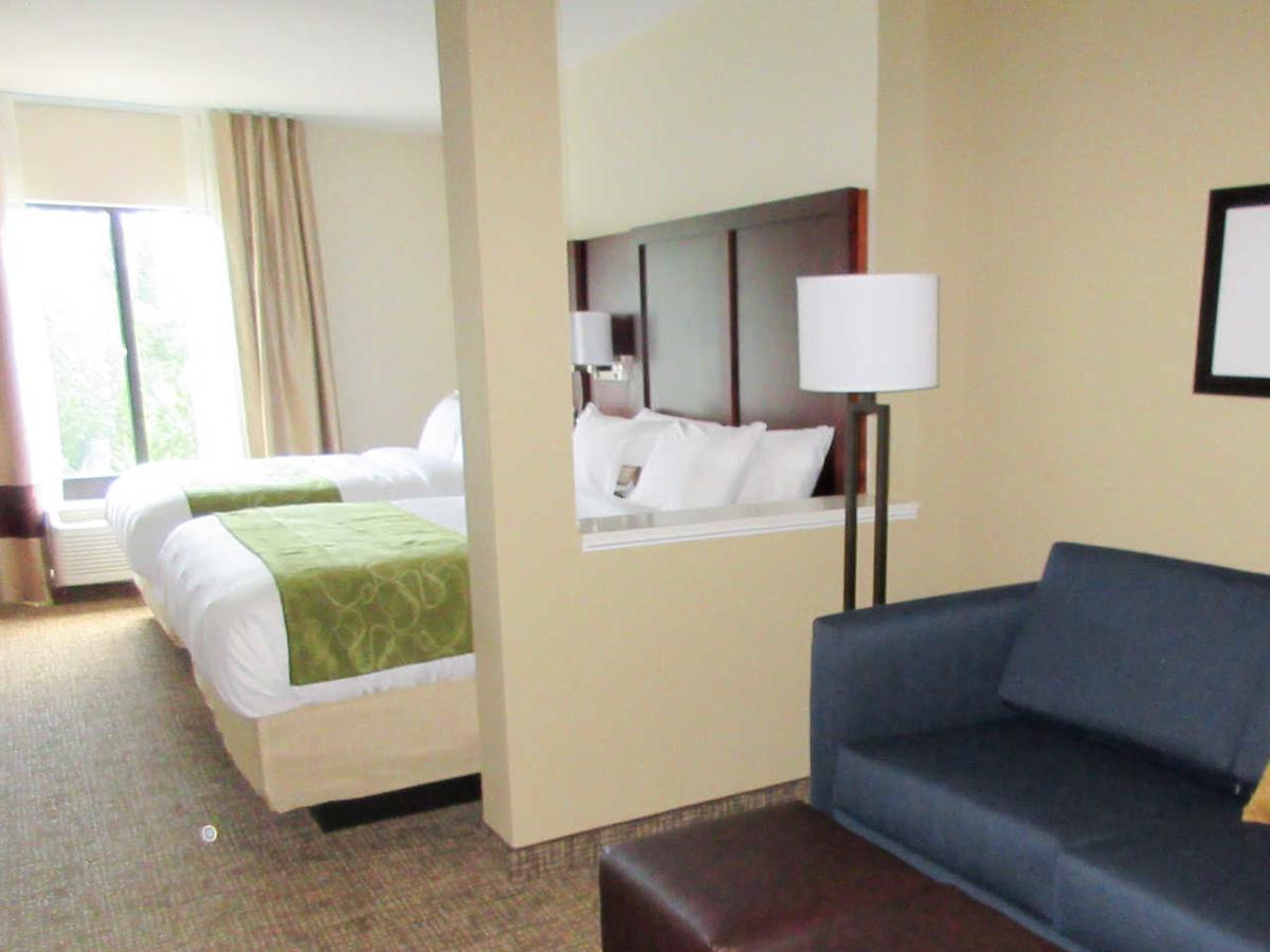 Comfort Suites Greenville South - thumb 25