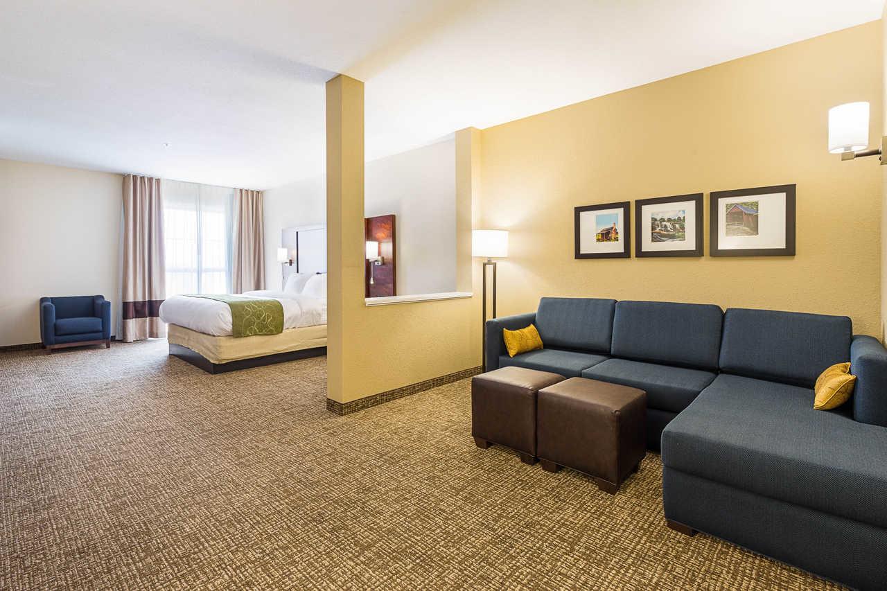 Comfort Suites Greenville South - thumb 5