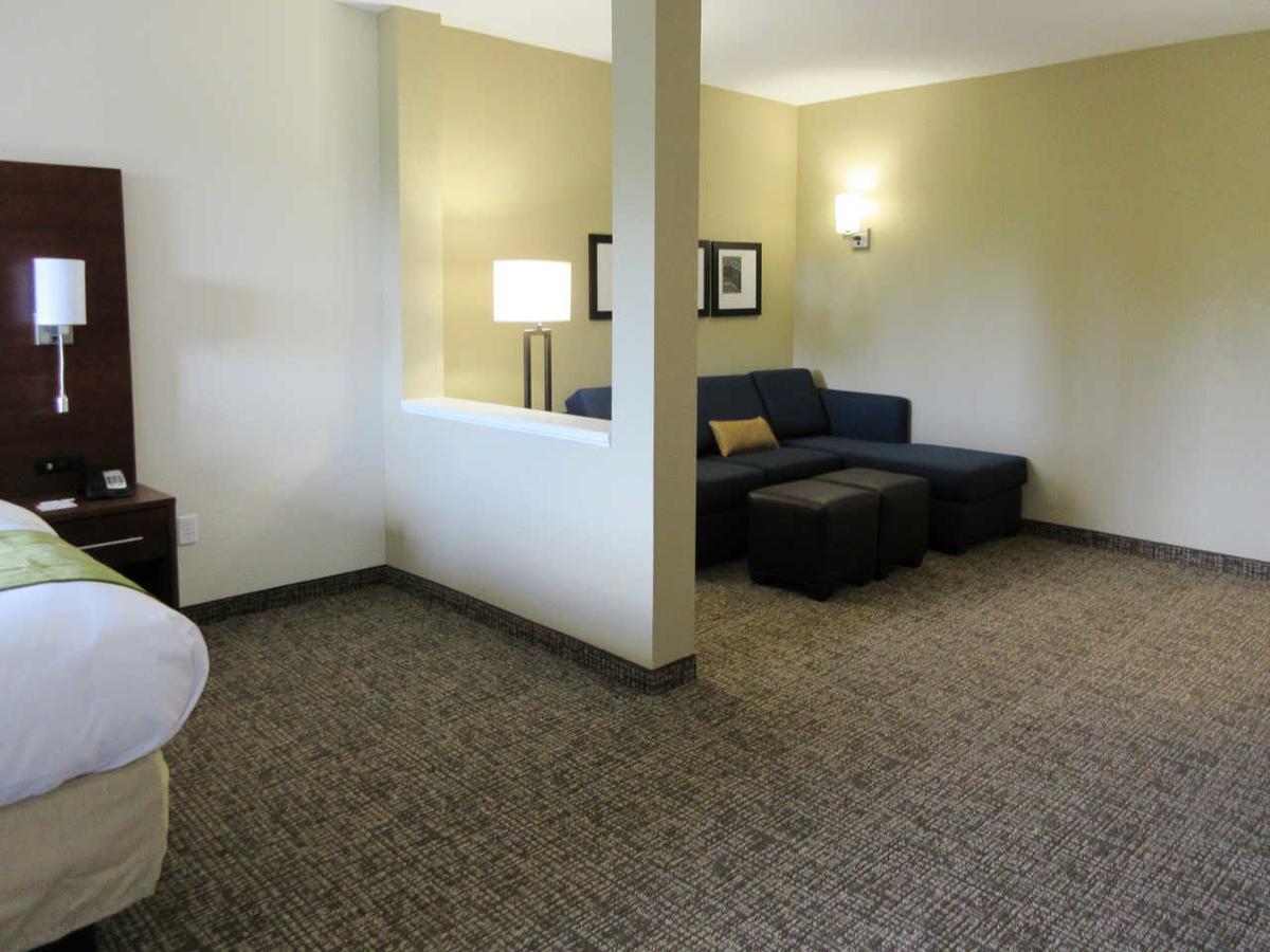 Comfort Suites Greenville South - thumb 22
