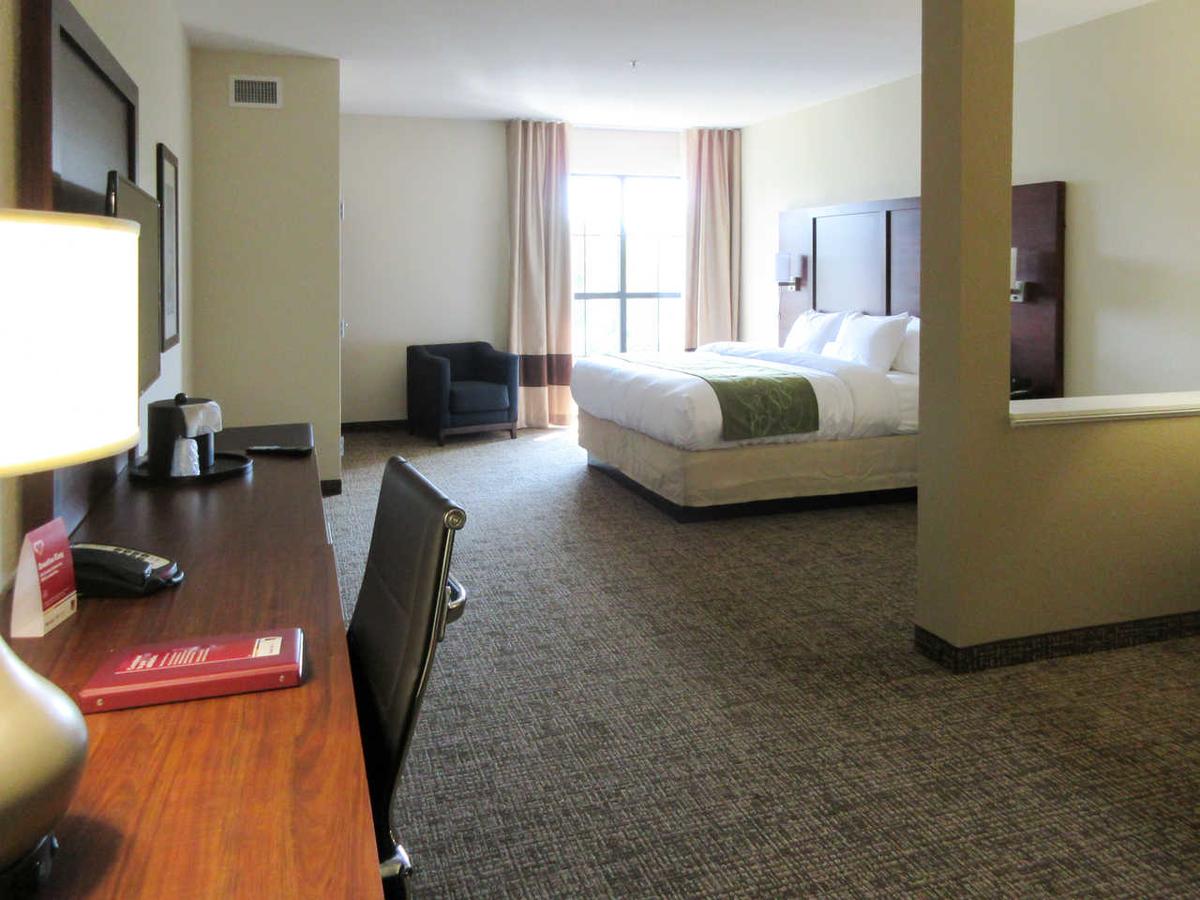 Comfort Suites Greenville South - thumb 21