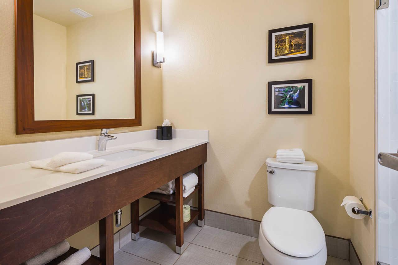 Comfort Suites Greenville South - thumb 10