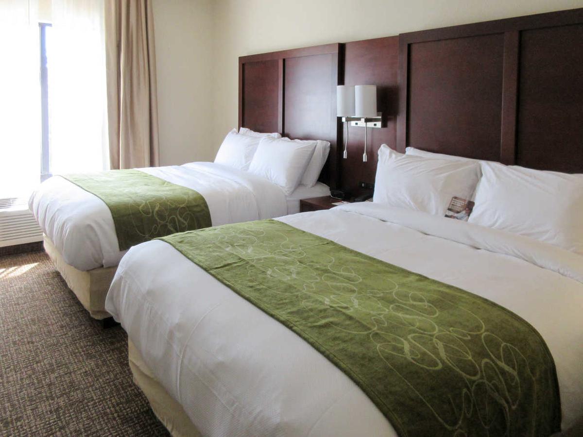 Comfort Suites Greenville South - thumb 28