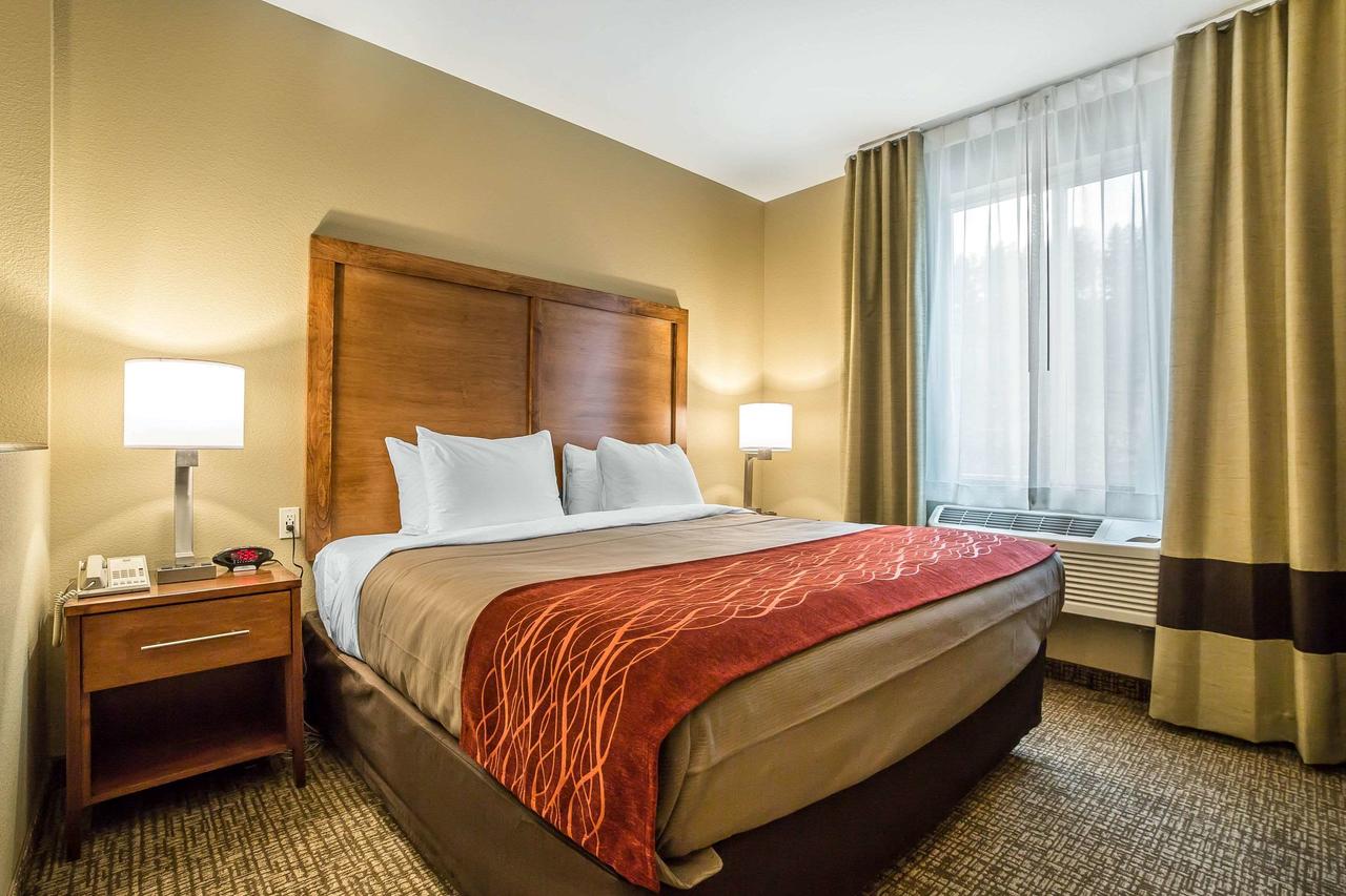 Comfort Inn & Suites Near Mt. Rushmore - thumb 13