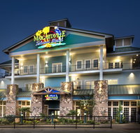 Margaritaville Island Hotel - Accommodation Rooms