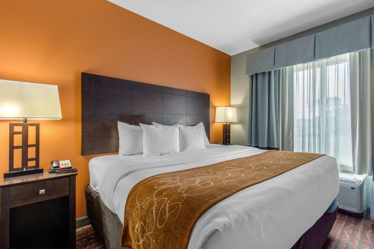 Comfort Suites Jackson I-40 - thumb 3