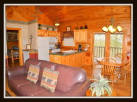Almost Paradise Cabin Accommodation Rooms