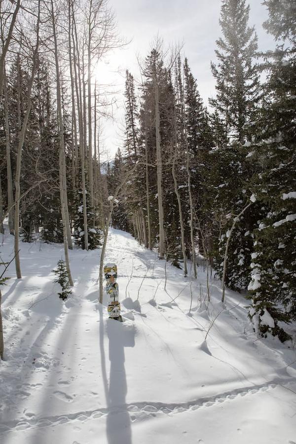 Chez Louisa - thumb 11