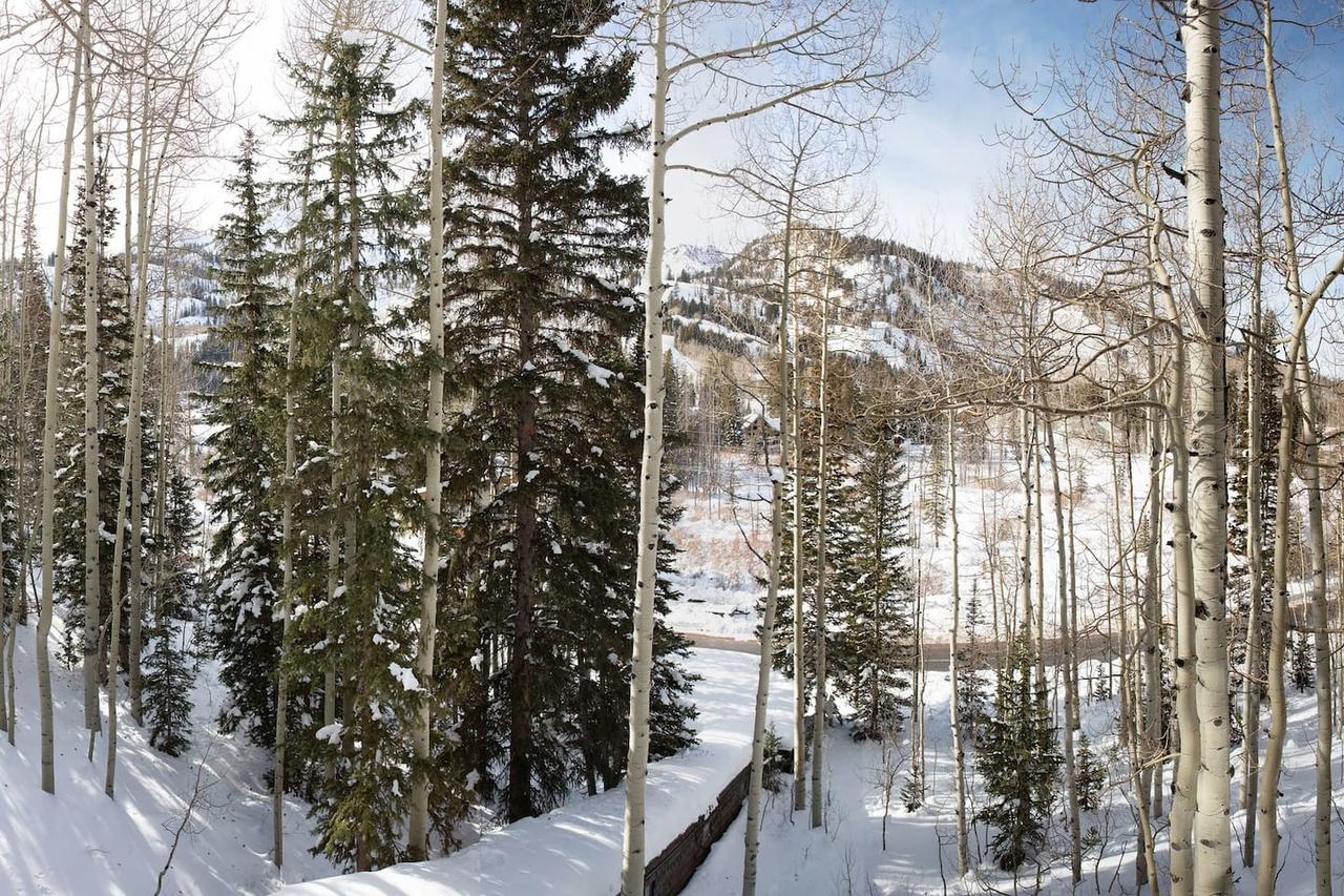 Chez Louisa - thumb 1