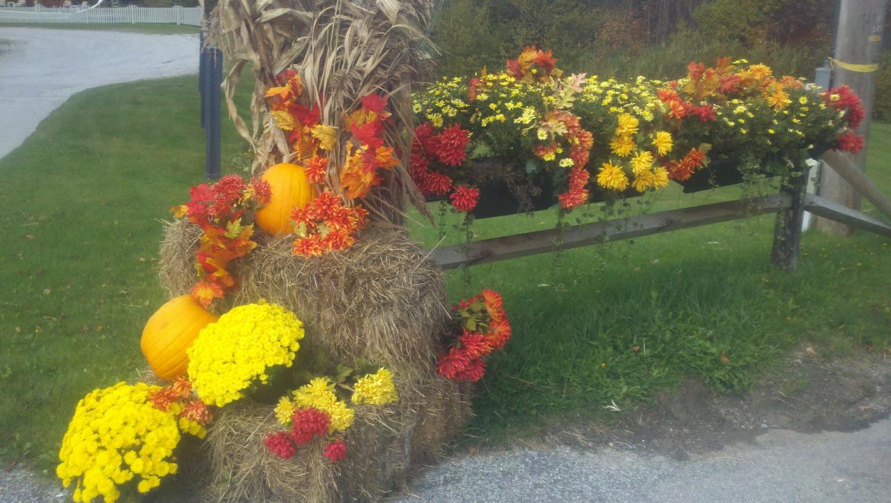 Greenbrier Inn Killington - thumb 8