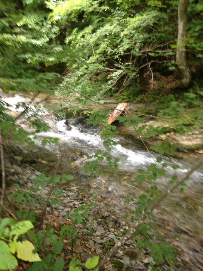 Green River Inn - thumb 7