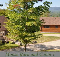 Muddy Moose - Accommodation Rooms