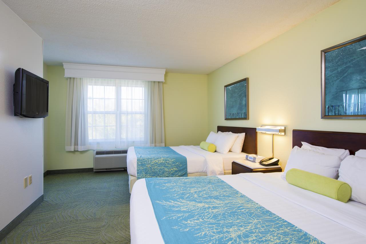 SpringHill Suites By Marriott Williamsburg - thumb 12