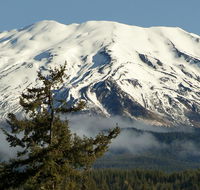 Lone Fir Resort - Accommodation Rooms