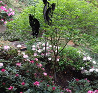 Bellevue Retreat - Bellevue Washington - Accommodation Rooms